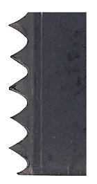 853225.jpg